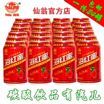 Xianweng carbonated beverage Haqu specialty sea red honey 310ml * 24 cans factory direct one piece