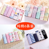 6 boxed underwear female childrens development period girls cotton 100% cotton stalls Middle School students triangle bottoms