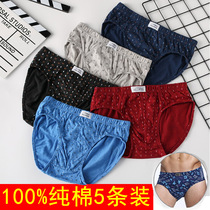 Junior high school students male big boy briefs boy cotton 13 -- 14-15-16 years old 100% cotton shorts head