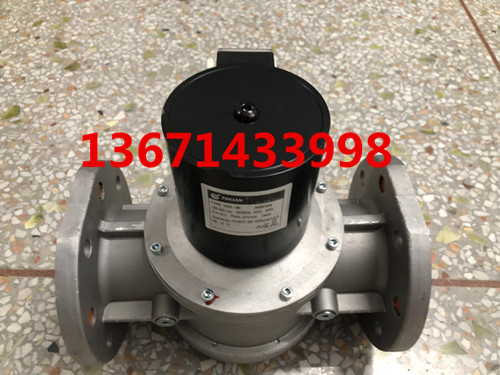 VGS-80 gas solenoid valve TWOAN gas liquefied gas pipeline solenoid valve DN80 A02F400