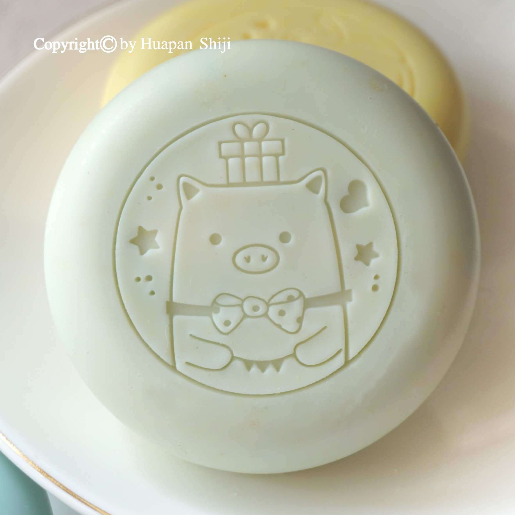 (HP2045) 5x5 Gift Piggy Exquisite Acrylic Soap Stamp