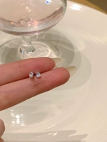 Маленький флеш -бриллиант 925 тремелла ушной иглы одна пара