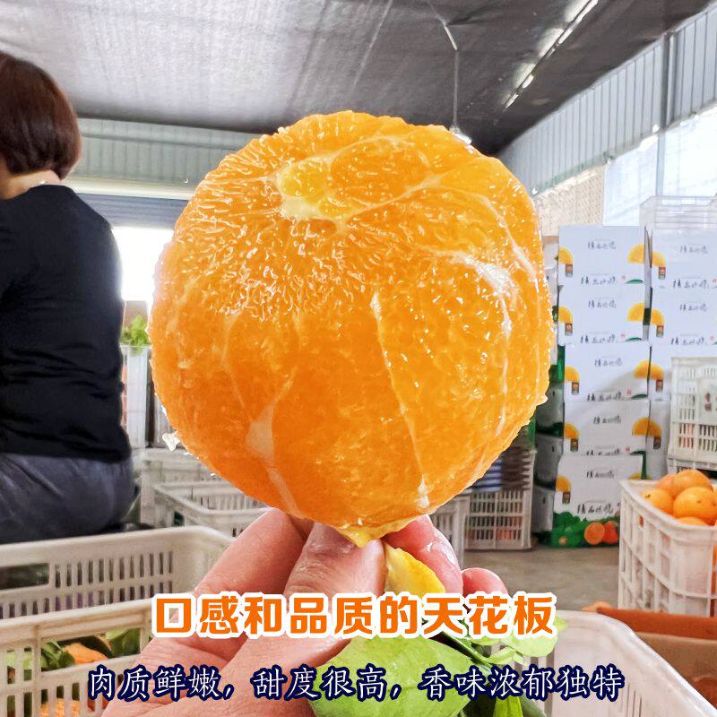 现摘正宗伦晚脐橙秭归春橙:湖北宜昌的甜蜜诱惑,尝鲜必备!-橙-淘宝百科网