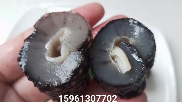 新精选大乌参淡干野生海参干货乌参足干3-10头500g:深海珍馐,如何挑选与享用?-海参-淘宝百科网