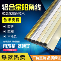  Ceramic tile stone corner guard Corner strip Corner strip Yang angle line Aluminum alloy decorative strip Trimming edge strip Corner guard strip