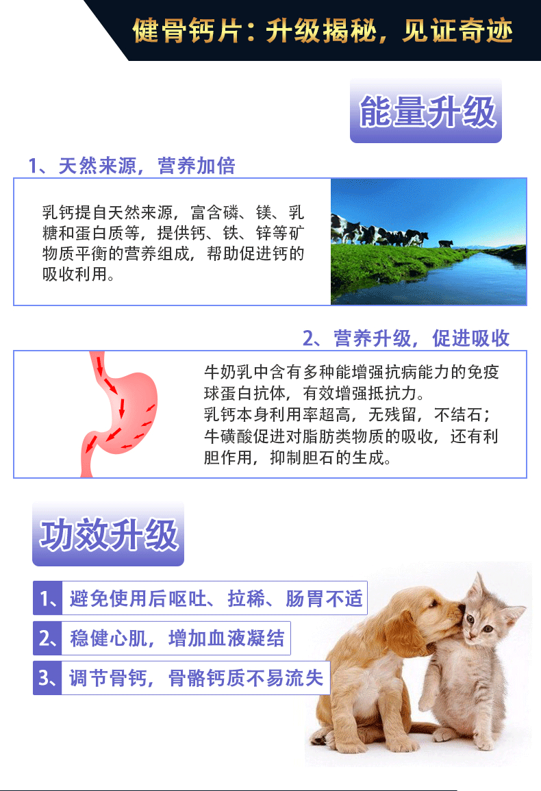Chó canxi viên chó con xương canxi nhỏ vừa và lớn chó canxi viên Samoyed Teddy Golden Cat pet canxi viên - Cat / Dog Health bổ sung Sữa cho chó con 2 tháng tuổi