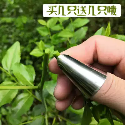 Iron nail set vegetable picker iron nail picking artifact pepper picking bean artifact pepper picking bean artifact thumb knife Special