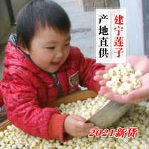 2021 new goods authentic Fujian Jianning Lotus dry goods handmade heartless to the core white lotus seeds 500g sulfur-free Jianlian