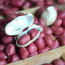 Sister and brother farmhouse new hand peeling red peanut local old variety red peanut 400g fresh no mold