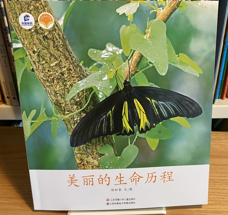 Authentic In-Stock Beautiful Life Cycle of Butterflies and Moths Picture Book, Original Photography by Oriental Doll, Nature Observation
