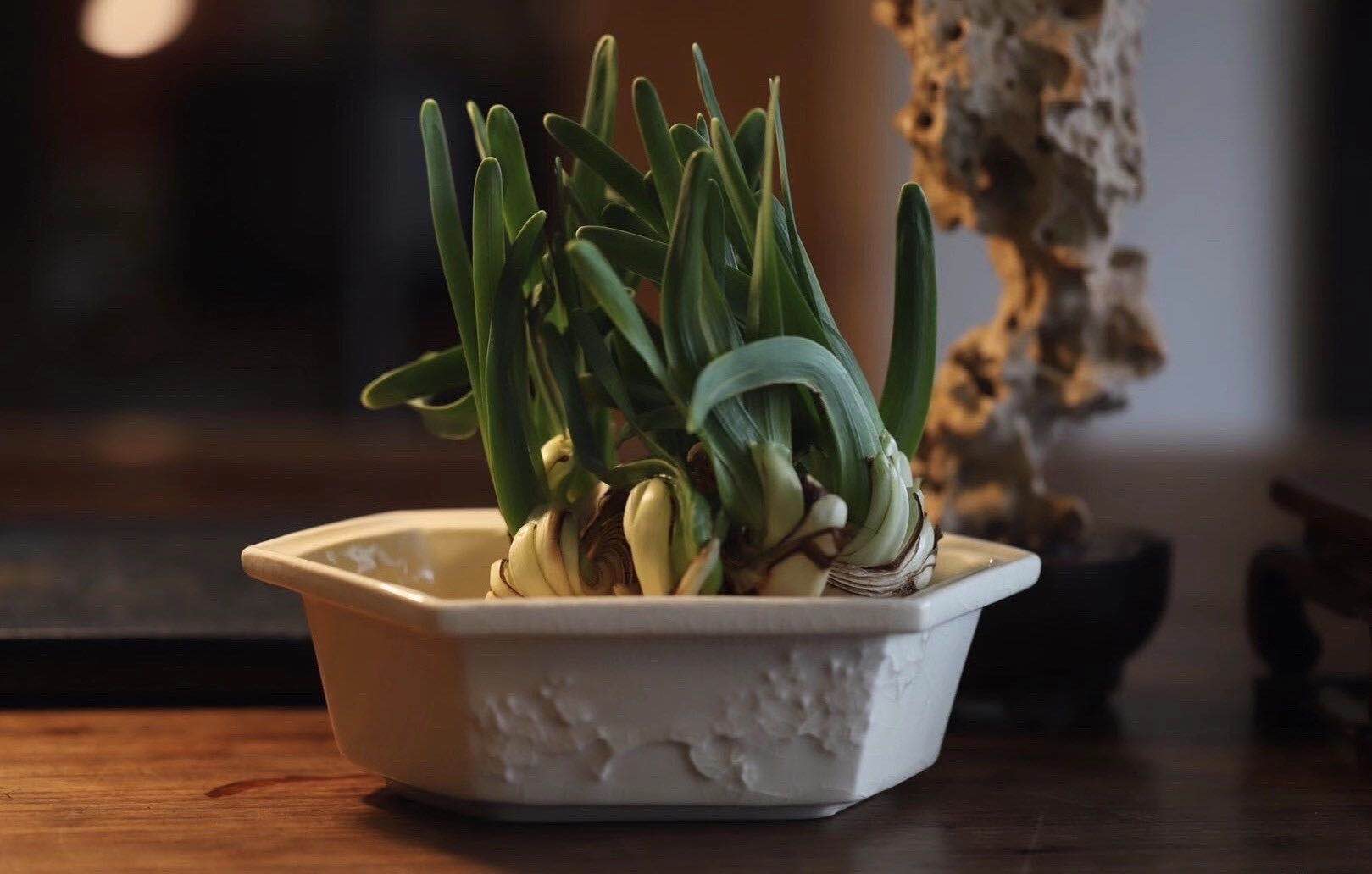 Imitation Song Dynasty flower pot Ru Kiln Ge Kiln Narcissus basin 1980s Taiwan set export tea washing pot Tea mat Flower pot