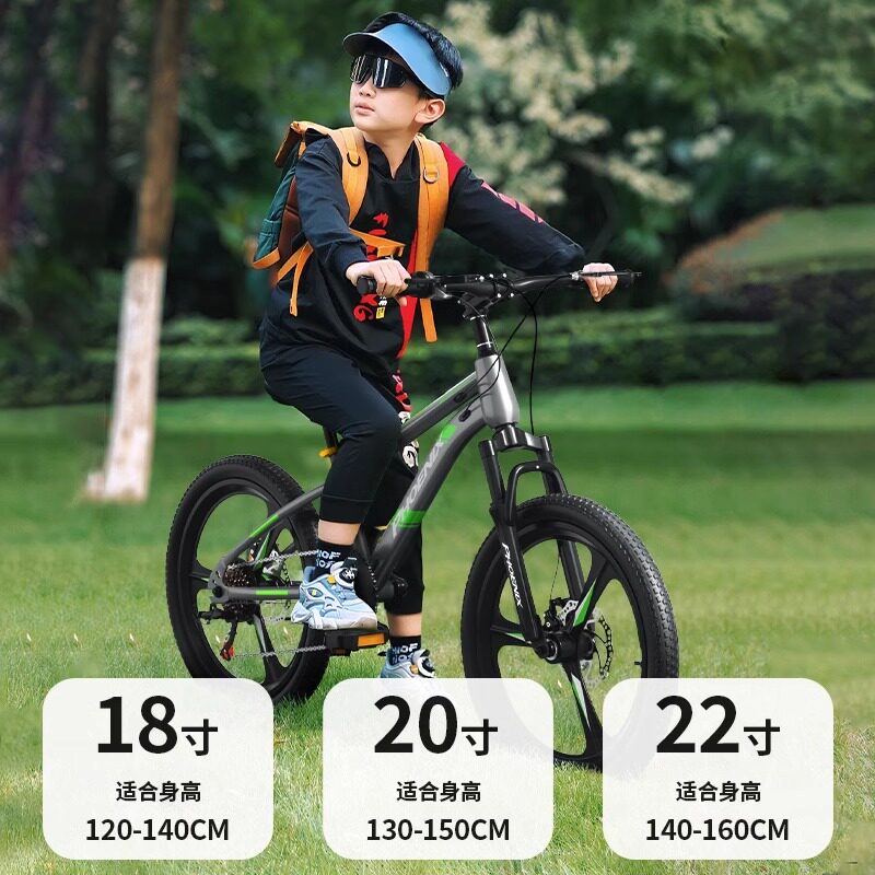 凤凰官方儿童单车碟刹山地车变速童车自行车男孩女孩青少年减震