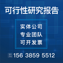  Write feasibility study report Project establishment declaration proposal to do business plan research report on behalf of the company