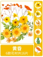 Сухой, 16 кусочков сухих цветочных мешков