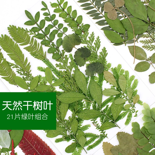 Наклейки, образец, комплект, набор материалов ручной работы против сухости, «сделай сам»