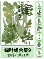 Комбинация зеленого листа 9 21 таблетки