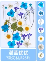 Azure you, вы высушите 25 кусочков сухого цветочного мешка