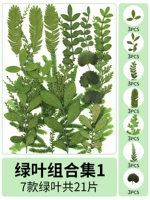 Комбинация зеленого листа 1 21 таблетки