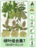 Комбинация зеленого листа 7 21 таблетки