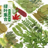 Наклейки, образец, комплект, набор материалов ручной работы против сухости, «сделай сам»