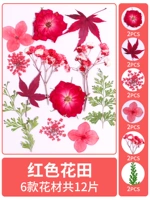 Красное цветочное поле, сухое, 12 кусочков сухих цветочных мешков