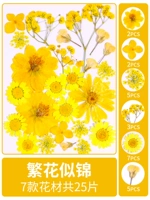 Цветы цветут, сухие, 25 кусочков сухой цветочной сумки