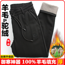 Wool cotton pants Men wear winter casual pants velvet thickened sweatpants Northeast extra thick silk camel velvet warm pants