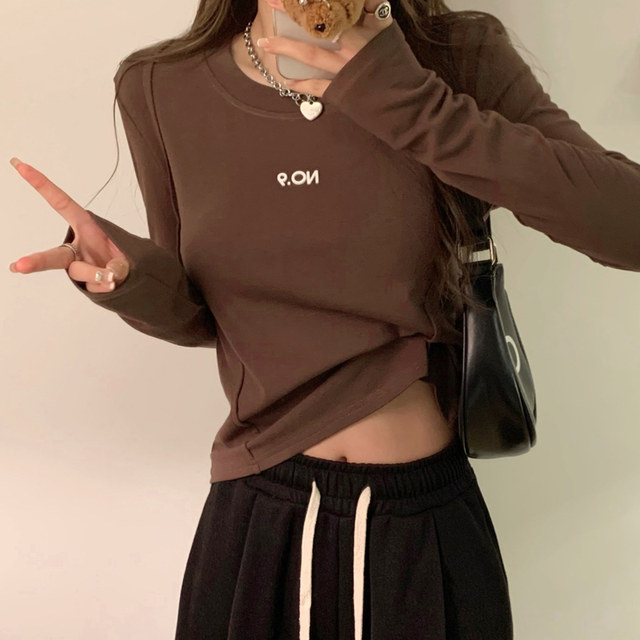 Korean Style Three-Dimensional Letter Round Neck Long-Sleeve Base Shirt for Women, New Autumn and Winter Unique Brushed Slim-Fit Short Top