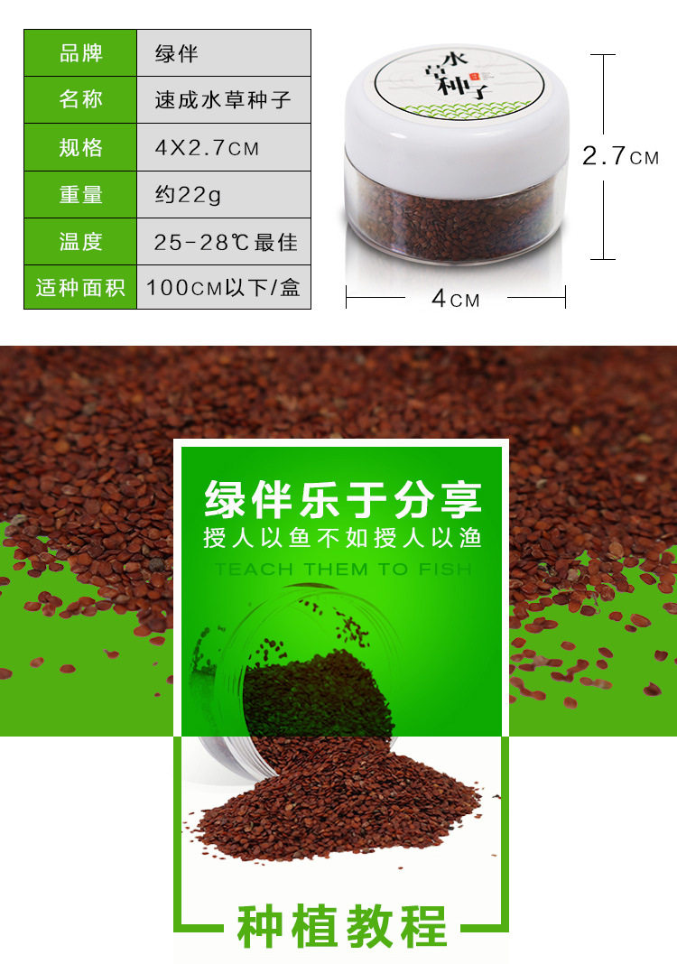 Семена водяной дороги_07