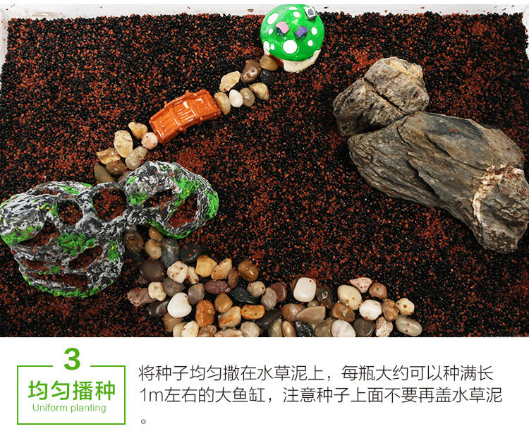 Водяная трава семя_10