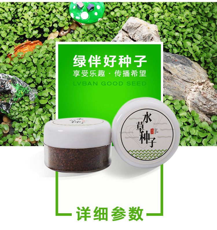 Семена водяной волны_06