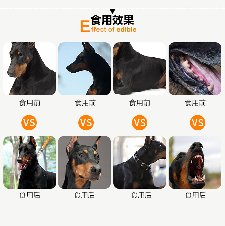 Thức ăn cho chó Doberman Thức ăn cho chó Doberman 10kg cho chó, chó lớn, chó làm việc, thức ăn cho chó nói chung - Chó Staples thức ăn cho chó poodle