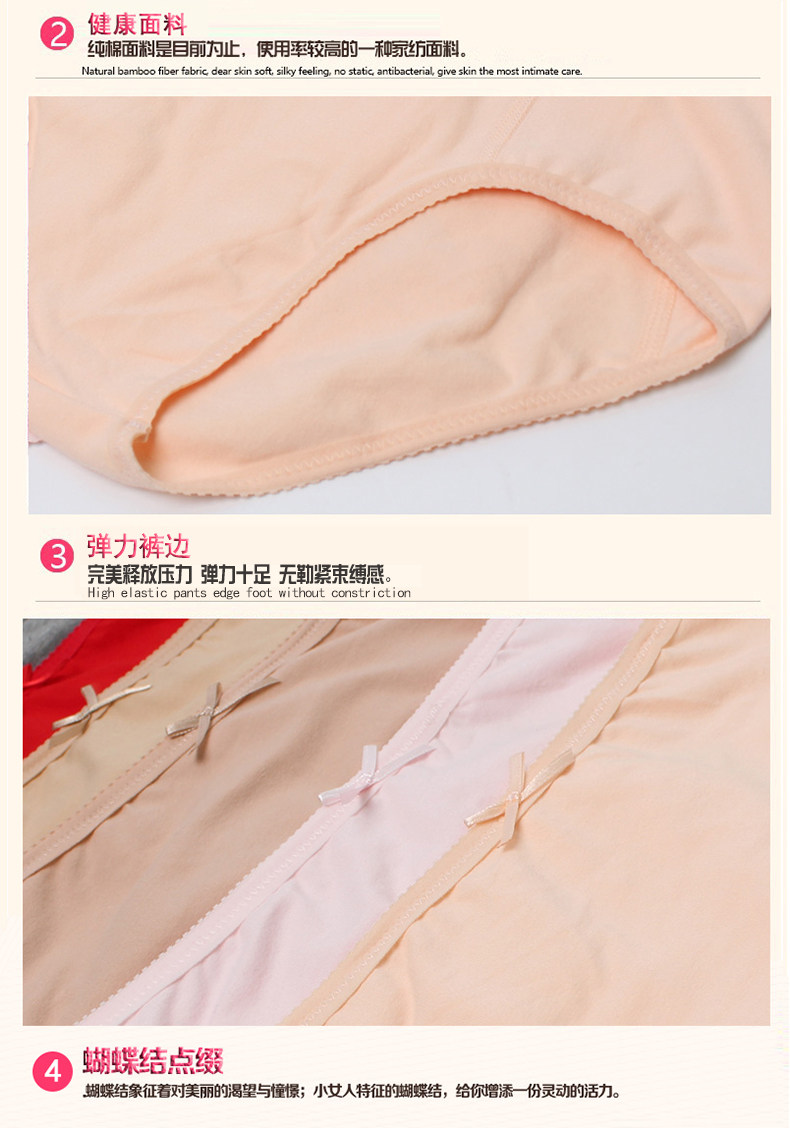 Slip Moyen-âge 21605-1 en coton - Ref 641830 Image 22