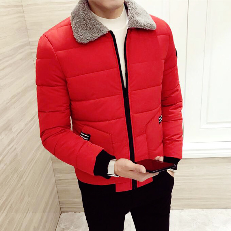Blouson hiver pour homme   OTHER - Ref 3112047 Image 3