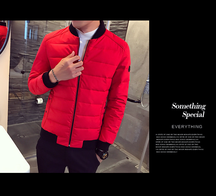 Blouson hiver pour homme   OTHER - Ref 3112047 Image 28