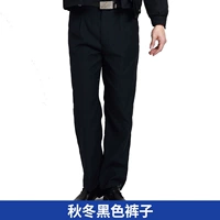 Демисезонные черные штаны