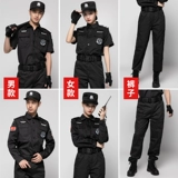 SET SET Summer Qiu Zengsheng Property Vertion V, Фазовые Vestes Elieve