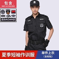 Короткий топ+логотип