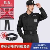 Осенние штаны, ремень