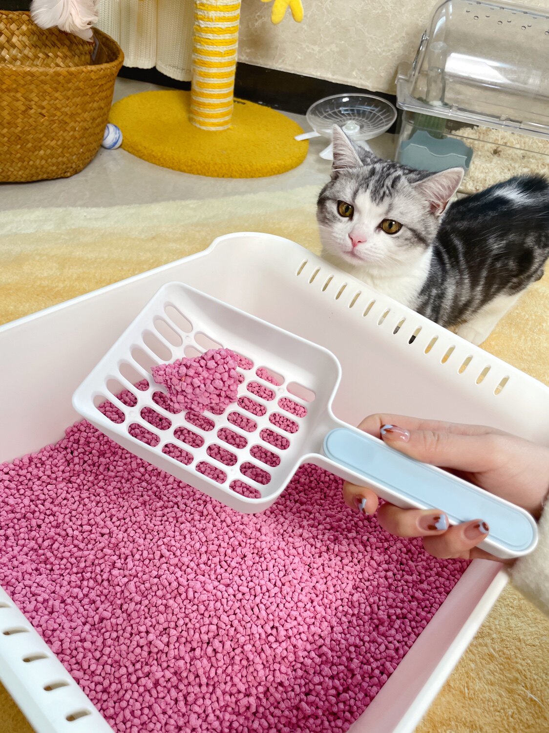 Meinisnail cat litter shovel shovel feces artifact large tofu cat litter bentonite cleaning supplies