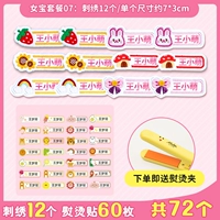 «Женский пакет сокровищ F» вышита 12 (отправка игла) ⭐ 60 Главных наклеек (с зажимом)