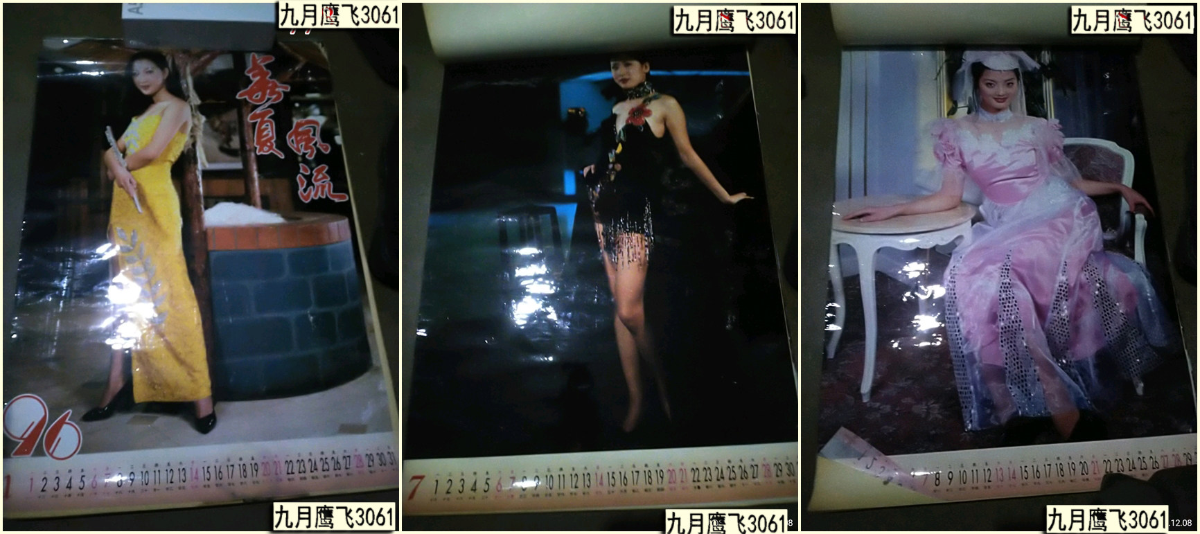 I don't know the names of 12 all-plastic films, the star of the calendar in 1996.