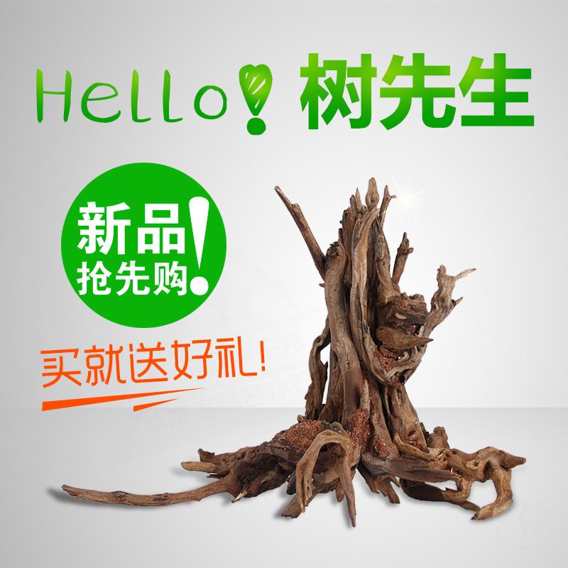 Natural immersive wood construction wood tree studs fish tank ripeny decoration woods cylinder rainforest cylinder water straw cylinder build-up tree roots sink wood