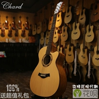 Chard đích thực guitar acoustic 40 inch veneer log guitar mặt đàn guitar đơn mới bắt đầu người mới chơi guitar - Nhạc cụ phương Tây đàn taylor