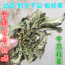 2020 New sun-dried seedlings Toad grass Dried products Wild Lychee grass 500g Snow primrose Chinese herbal medicine