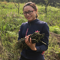 Guizhou Fern fresh wild pickled mountain fern Sweet Fern moss dragon claw vegetable now picked vegetables under food 3kg of wild vegetables