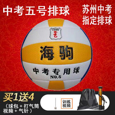 Names can be engraved Suzhou Haiju brand needle pattern No. 5 Haiju 1110A needle pattern air volleyball middle school entrance examination teaching software