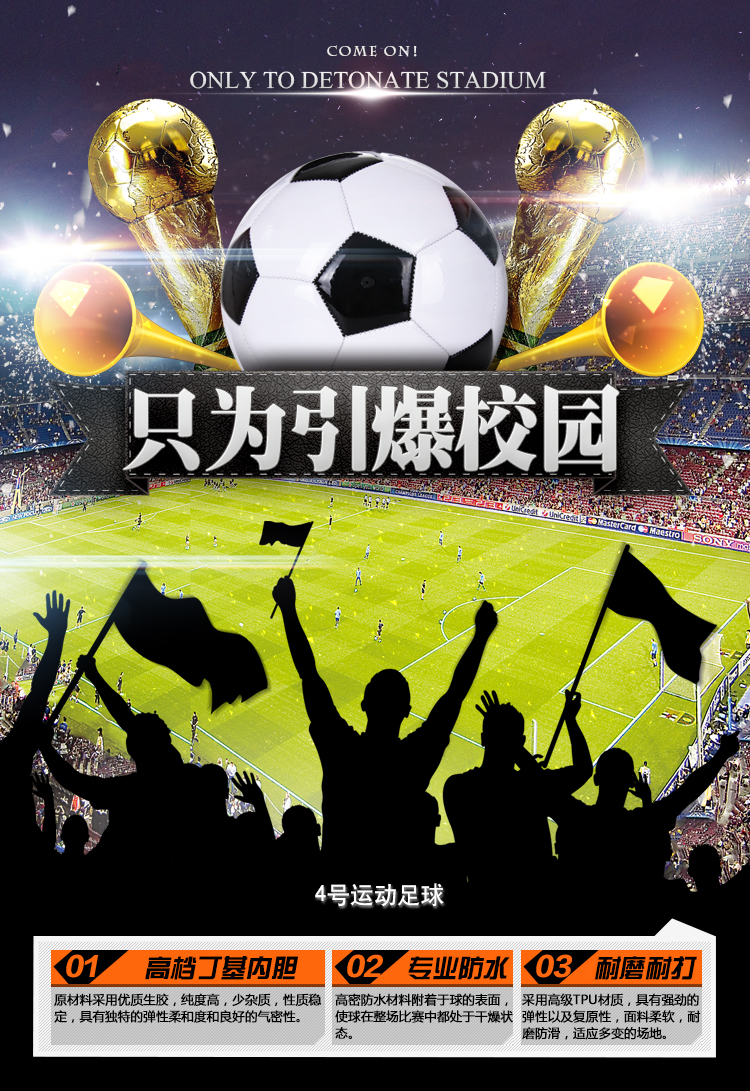 Ballon de foot - Ref 7159 Image 5