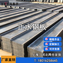 Basement water stop steel plate 300*3 400*3mm hot dip galvanized water stop steel plate with complete specifications to support customization
