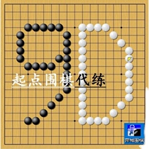 Yicheng Wild Fox Go 9D No. 5-9 segment account (custom-made guaranteed segment) member professional chess player to practice the game coin